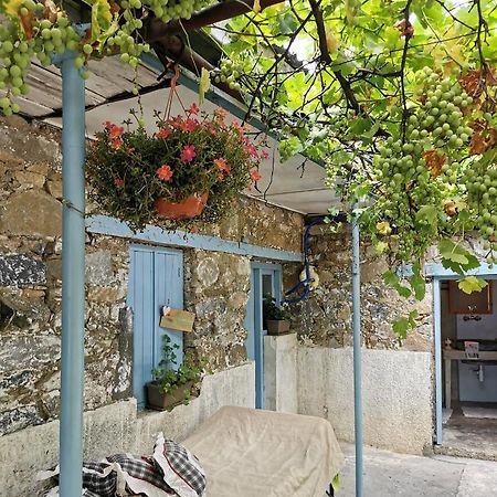 Holiday House Prodromos Exterior photo