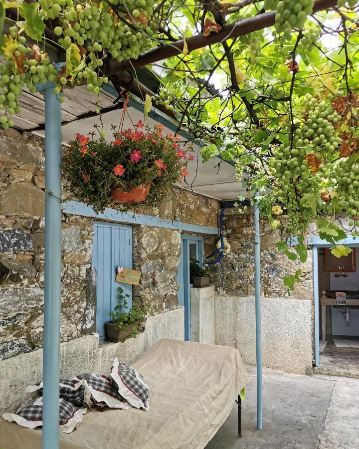 Holiday House Prodromos Exterior photo