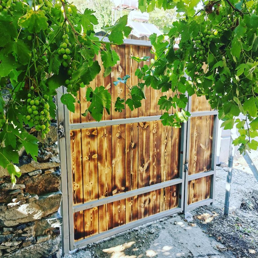 Holiday House Prodromos Exterior photo