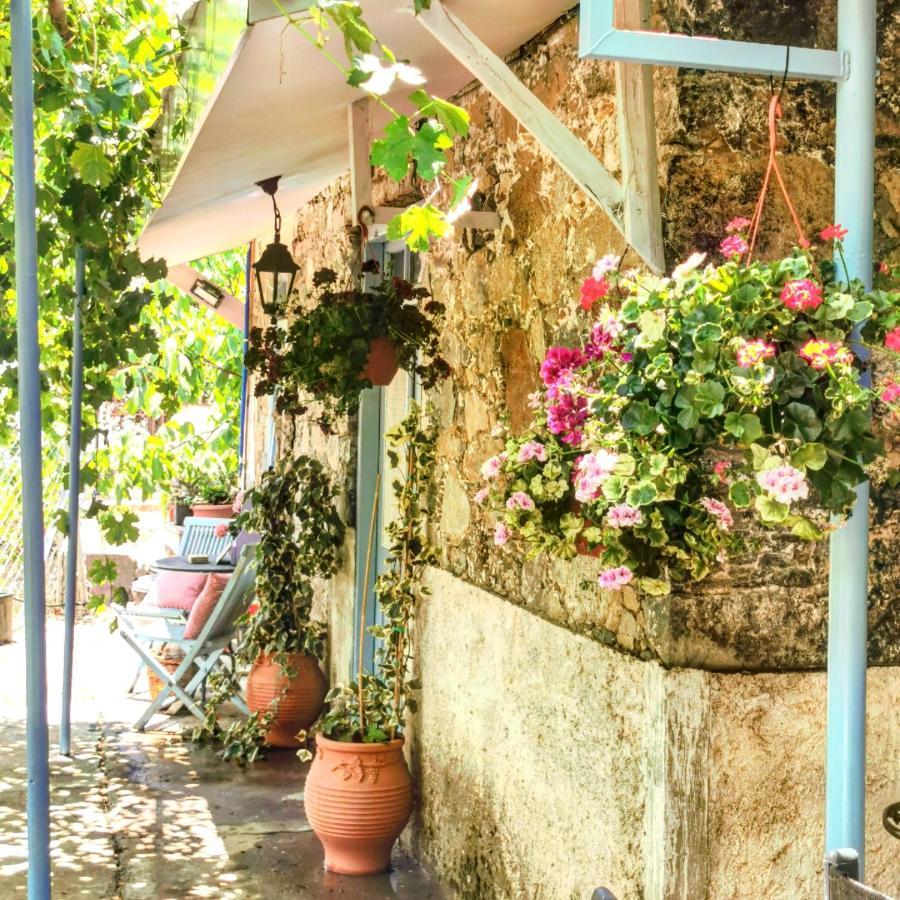 Holiday House Prodromos Exterior photo