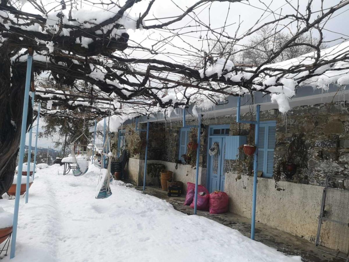 Holiday House Prodromos Exterior photo