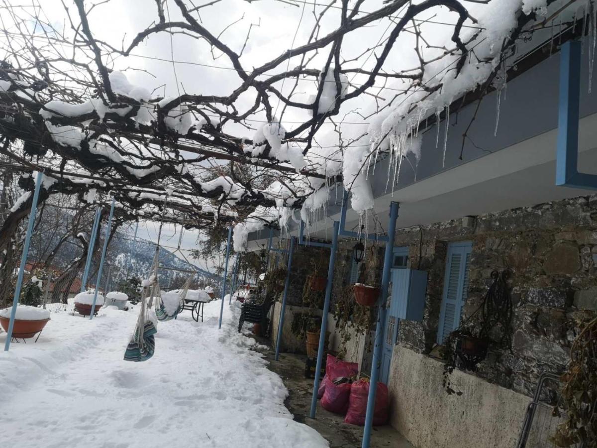 Holiday House Prodromos Exterior photo