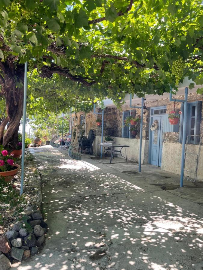 Holiday House Prodromos Exterior photo